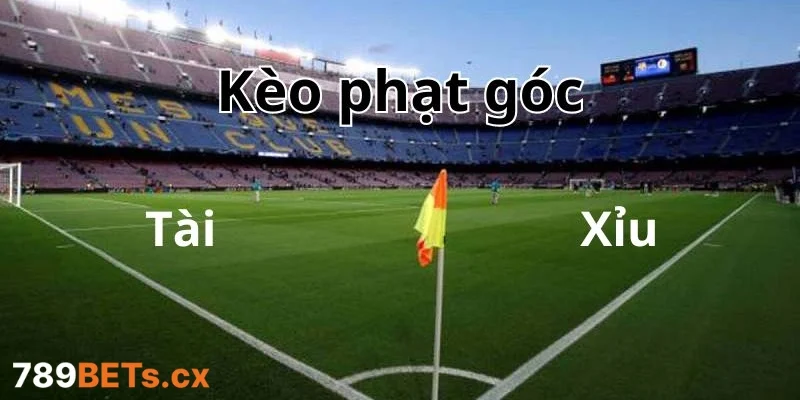 Phương pháp soi kèo phạt góc hiệu quả từ cao thủ